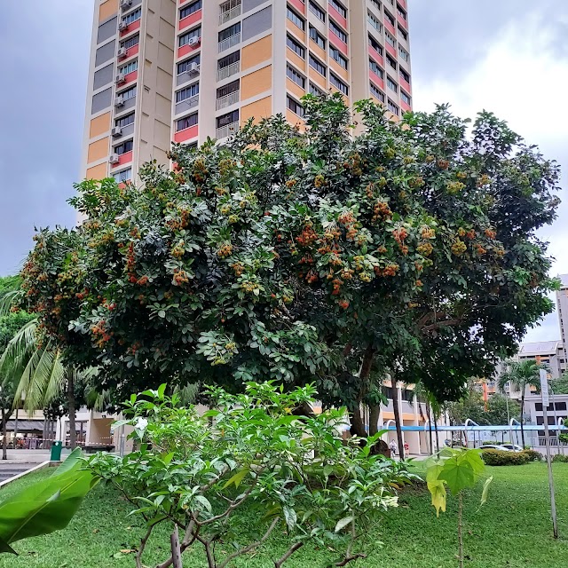 Playground & Rambutan Tree - Blk 725 Clementi West St 2 — second view