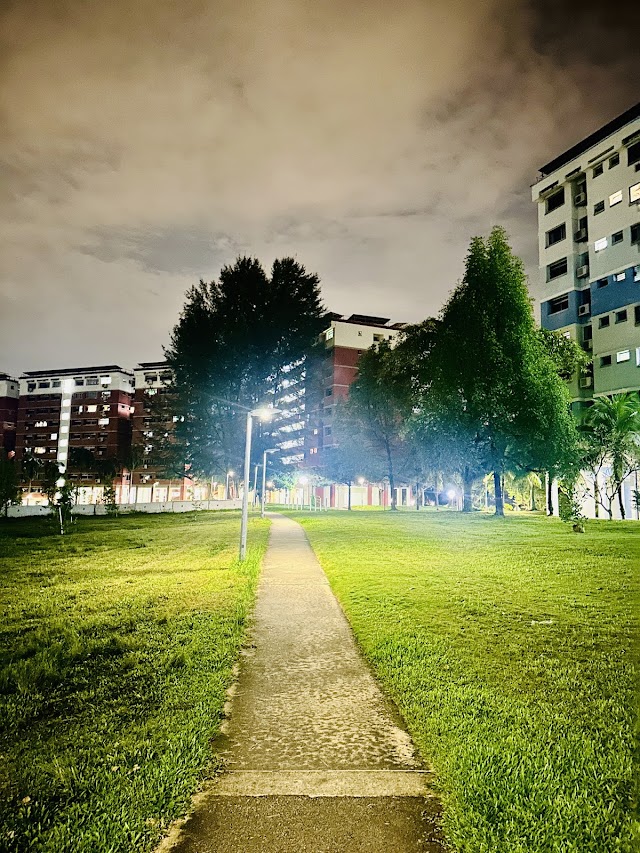 Blk 133 Pasir Ris Street 11 Playground