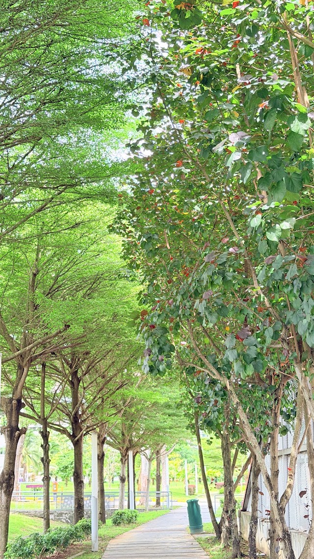 Hougang Ave 8 Playground — second view
