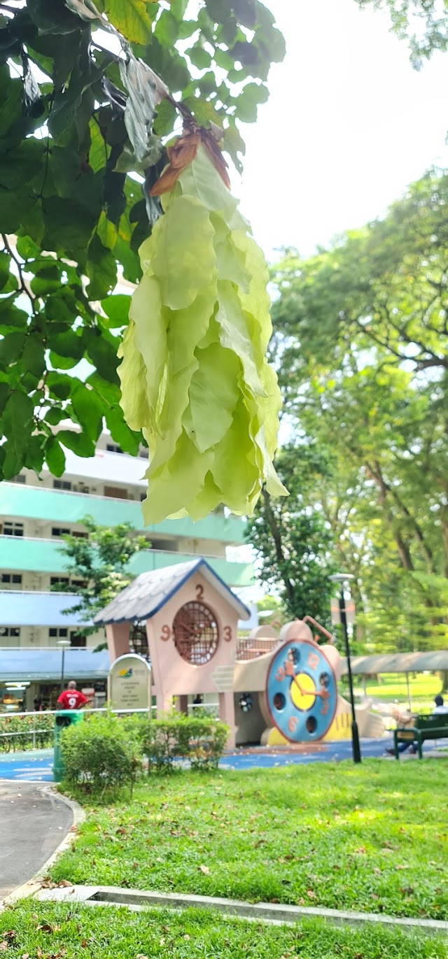 Jurong West playground — second view