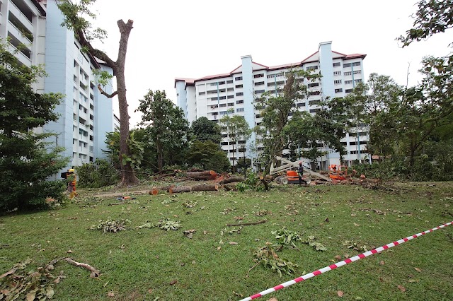 Jurong East playground — second view