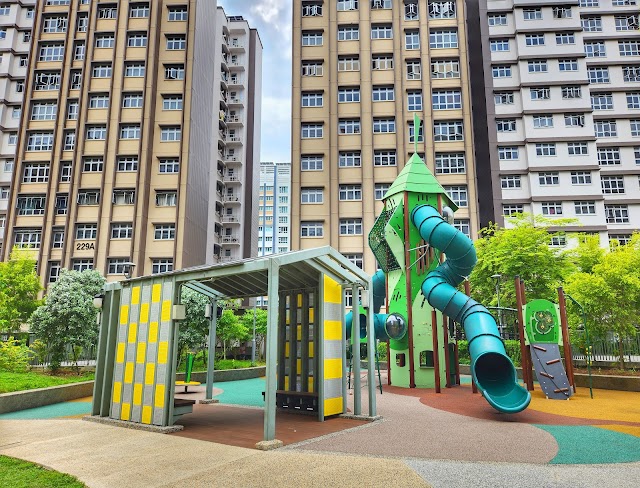 229B Playground