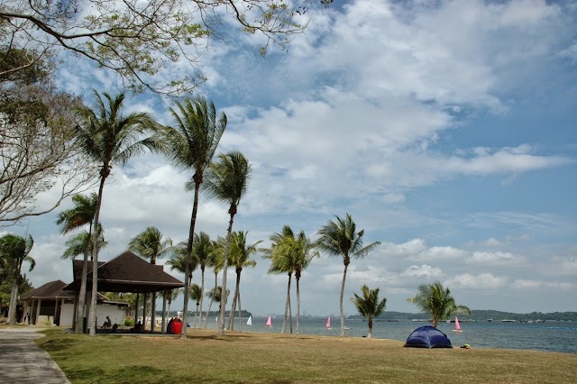 Pasir Ris Park Adventure Playground — second view