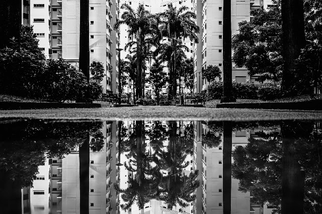 Blk 972 Hougang Street 91 Playground — second view