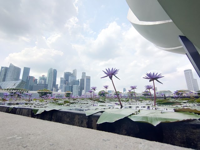 Marina Bay Playground — second view