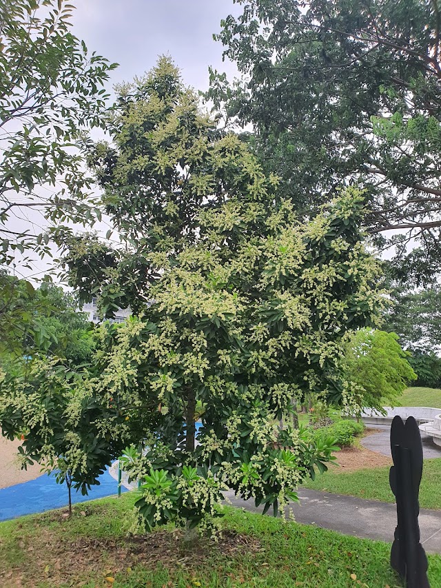 AMKLP Playground — second view