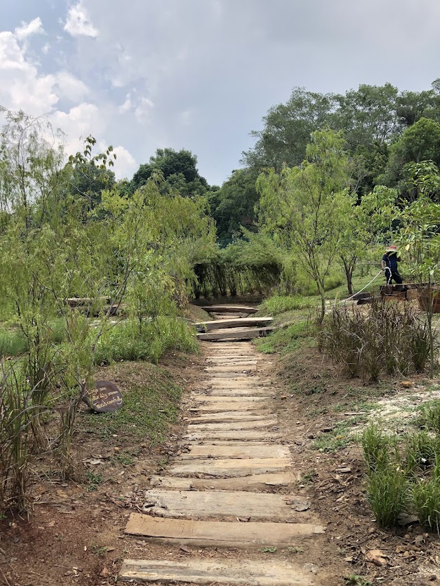 Nature Playgarden — second view