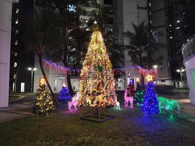 323B Sengkang E Way Playground — second view