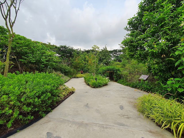 Butterfly Maze — second view