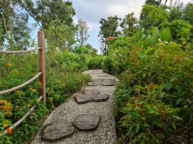 Butterfly Maze