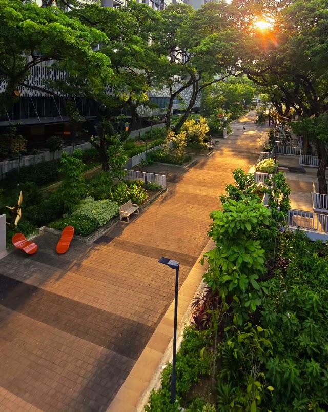Woodleigh Community Playground