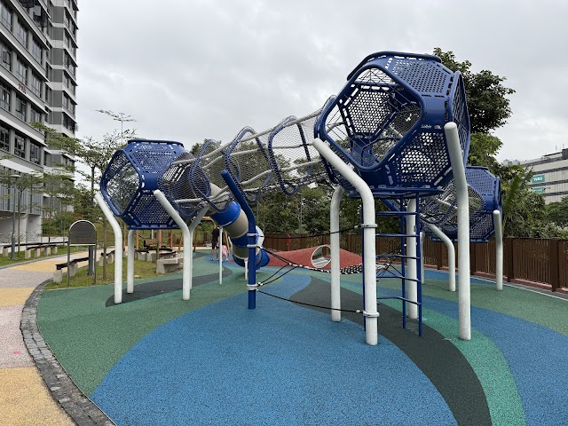 Dragonfly Playground