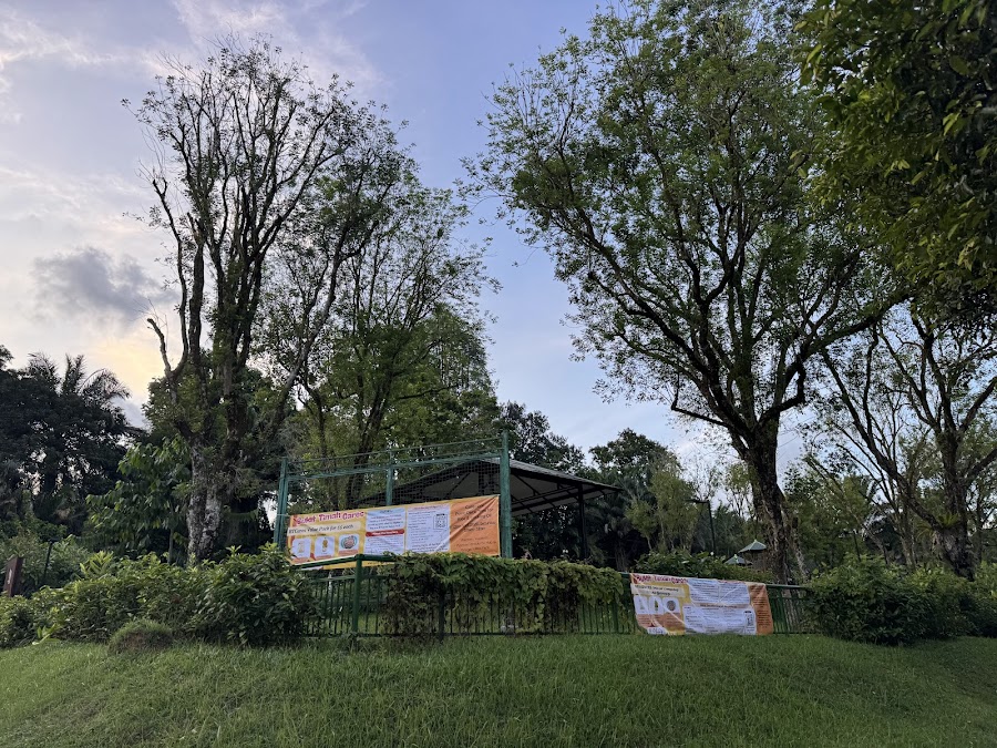 Orchid Village Playground