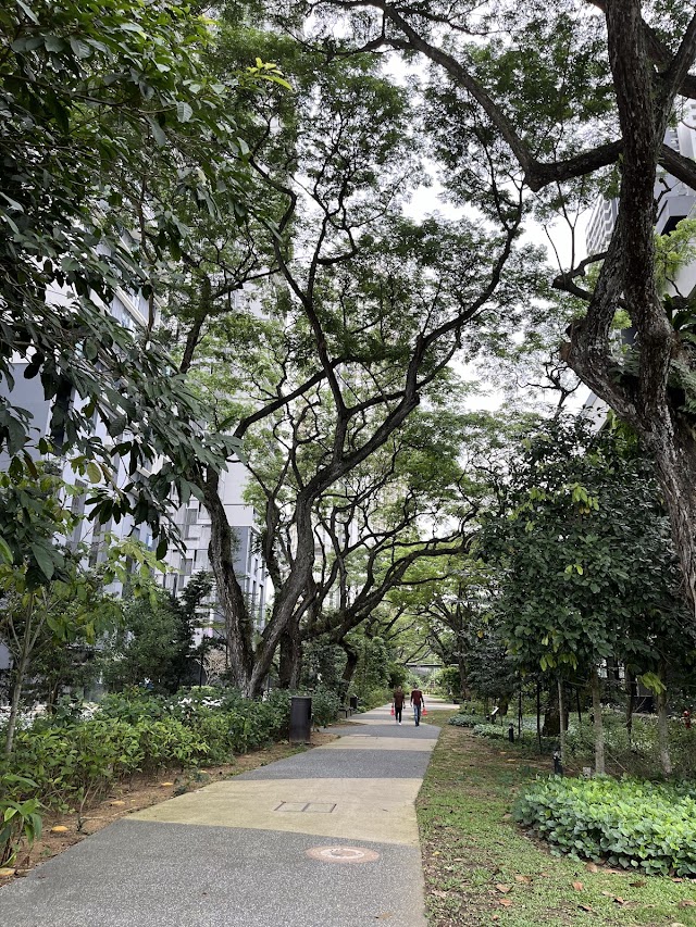 Eco-Jungle Adventure Playground - Blk 96 SkyParc@Dawson — second view