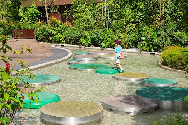 Crimson Wetlands Playpocket