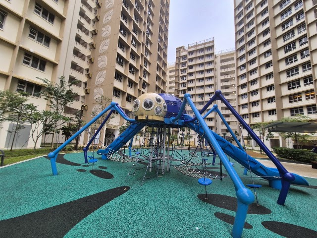 Spider Playground