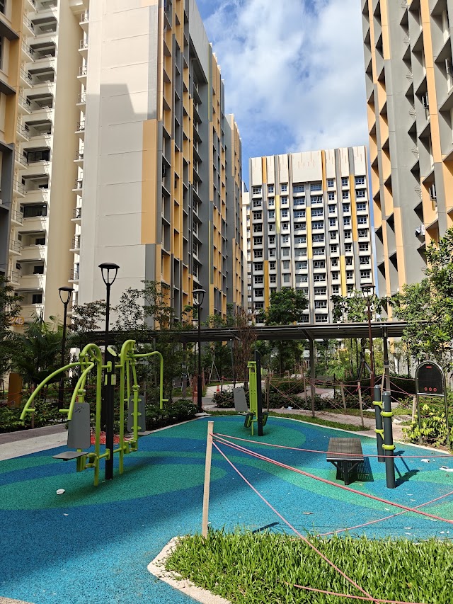 Woodpecker Playground — second view