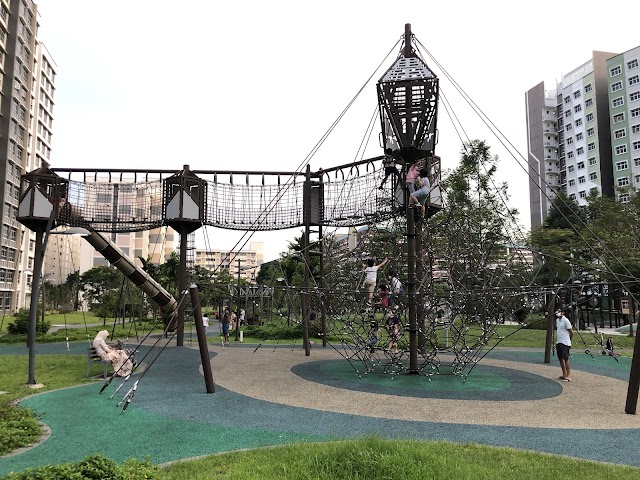 TGFP Playground