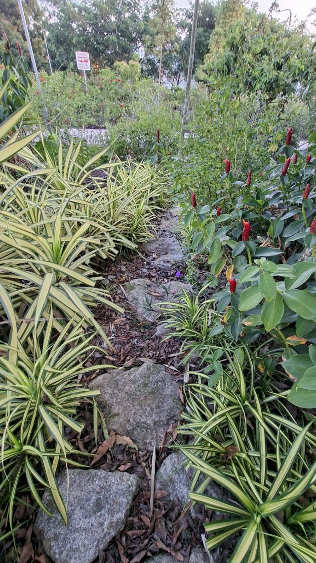 Nature Playgarden — second view