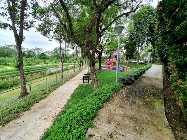 HGLP Playground