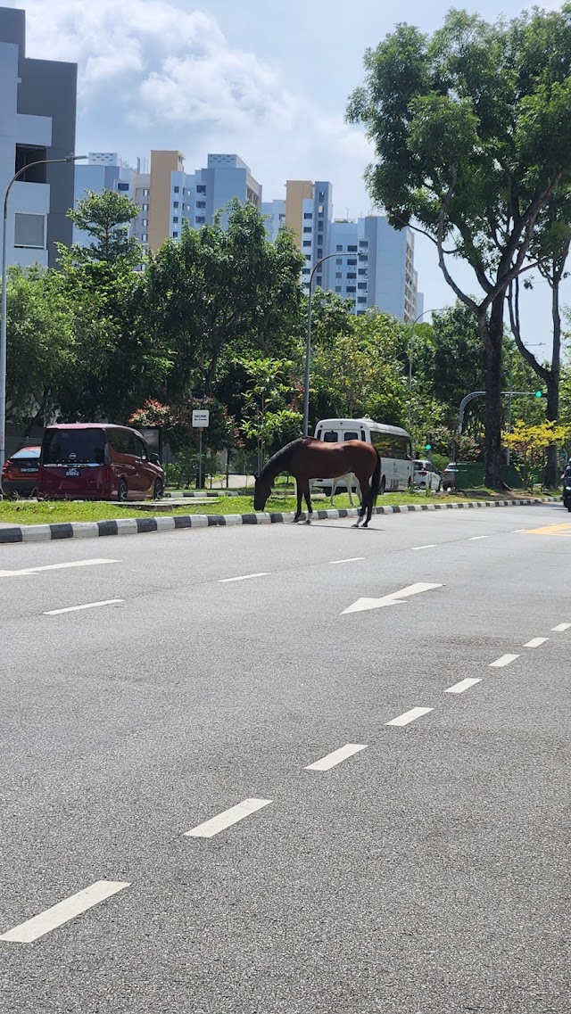Blk 853 Yishun Ring Road Playground