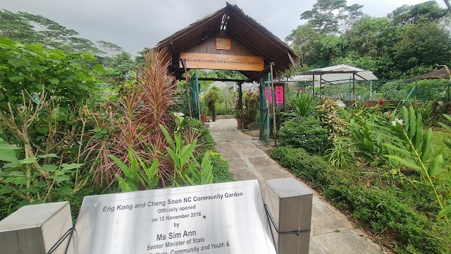 Golden Rise Playground