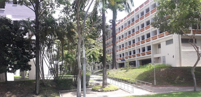 Blk 726 Playground
