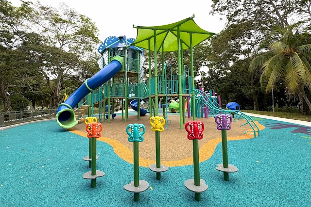 Sea Dragon Playground