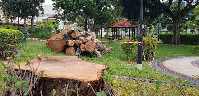 Jalan Chempaka Kuning Playground — second view