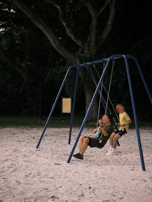LP Playground — second view