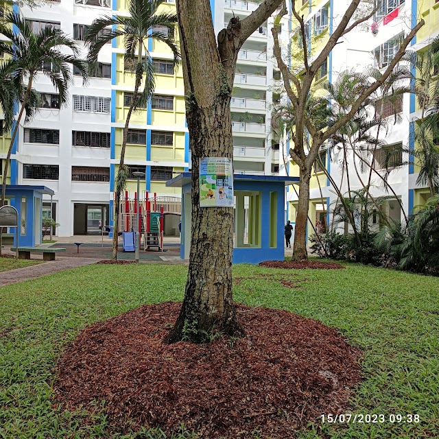 Blk 541 Playground