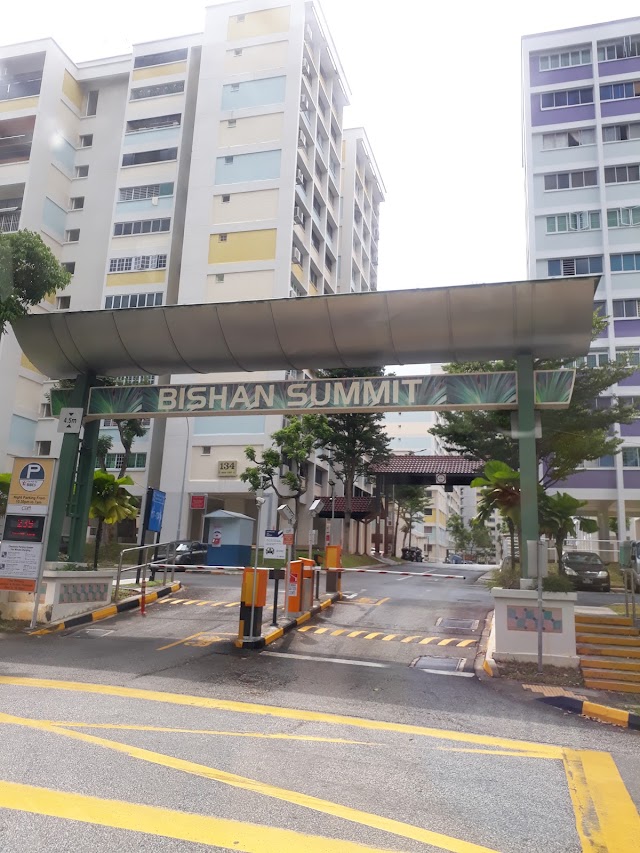 Bishan Summit Playground — second view