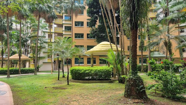 Blk 685B Playground
