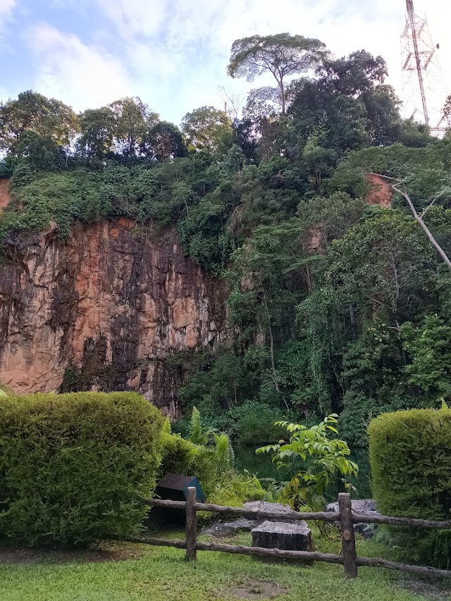 Bukit Batok Nature Park Playground