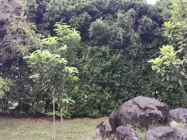 Jalan Dermawan Playground — second view