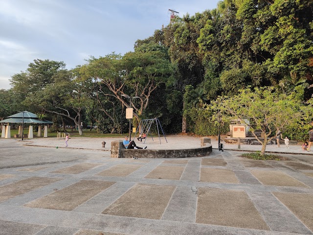 LP Mini Playground