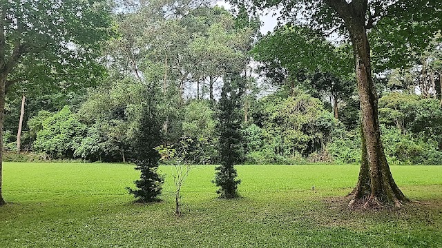 Zhenghua Park Children's Playground — second view