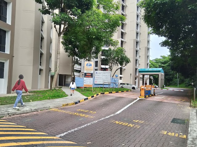 Zhenghua Nature Park Children's Playground — second view
