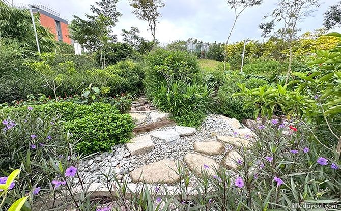 Stepping rocks and logs among planting at Woodlands Healing Garden Nature Playgarden.